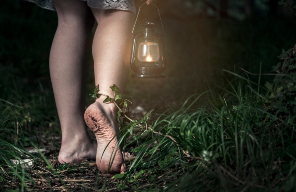 Press Release About The Scam the leukemia & lymphoma society